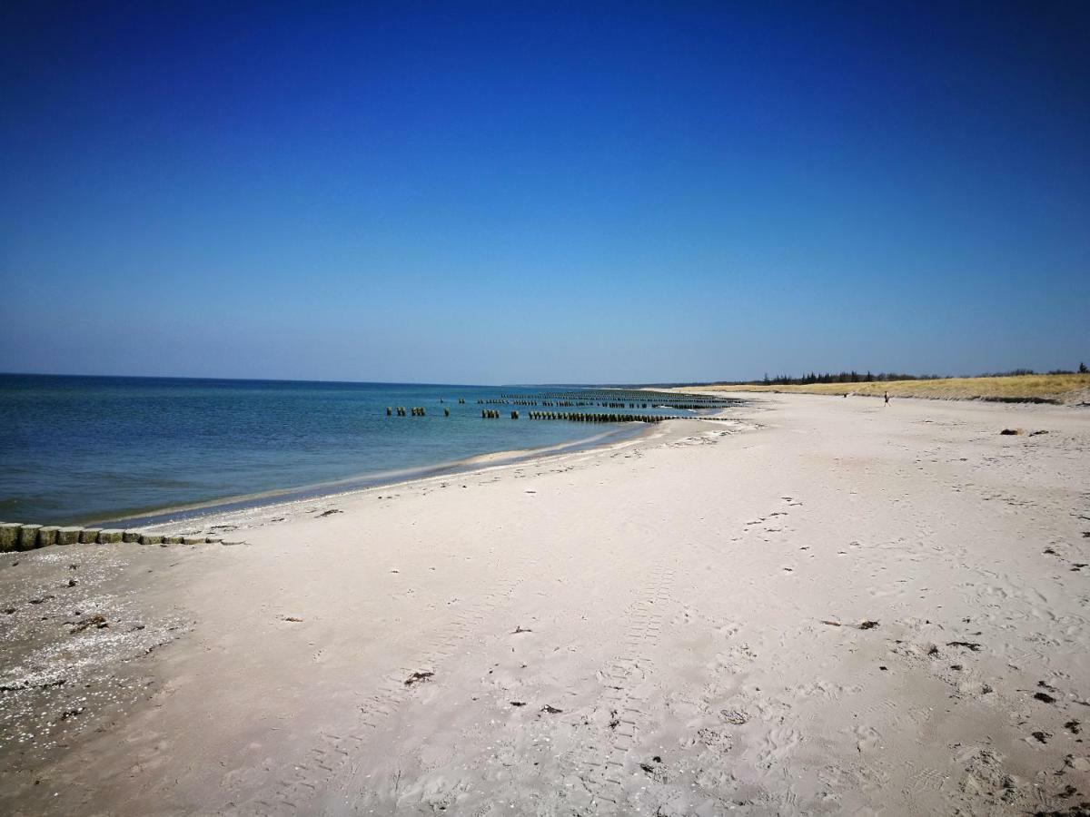Darsser Strandgut - Haus Ahrenshooper Holz Eksteriør billede
