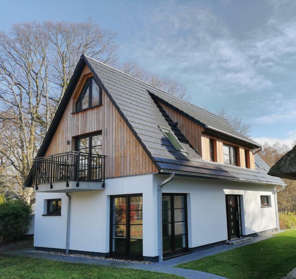 Darsser Strandgut - Haus Ahrenshooper Holz Eksteriør billede