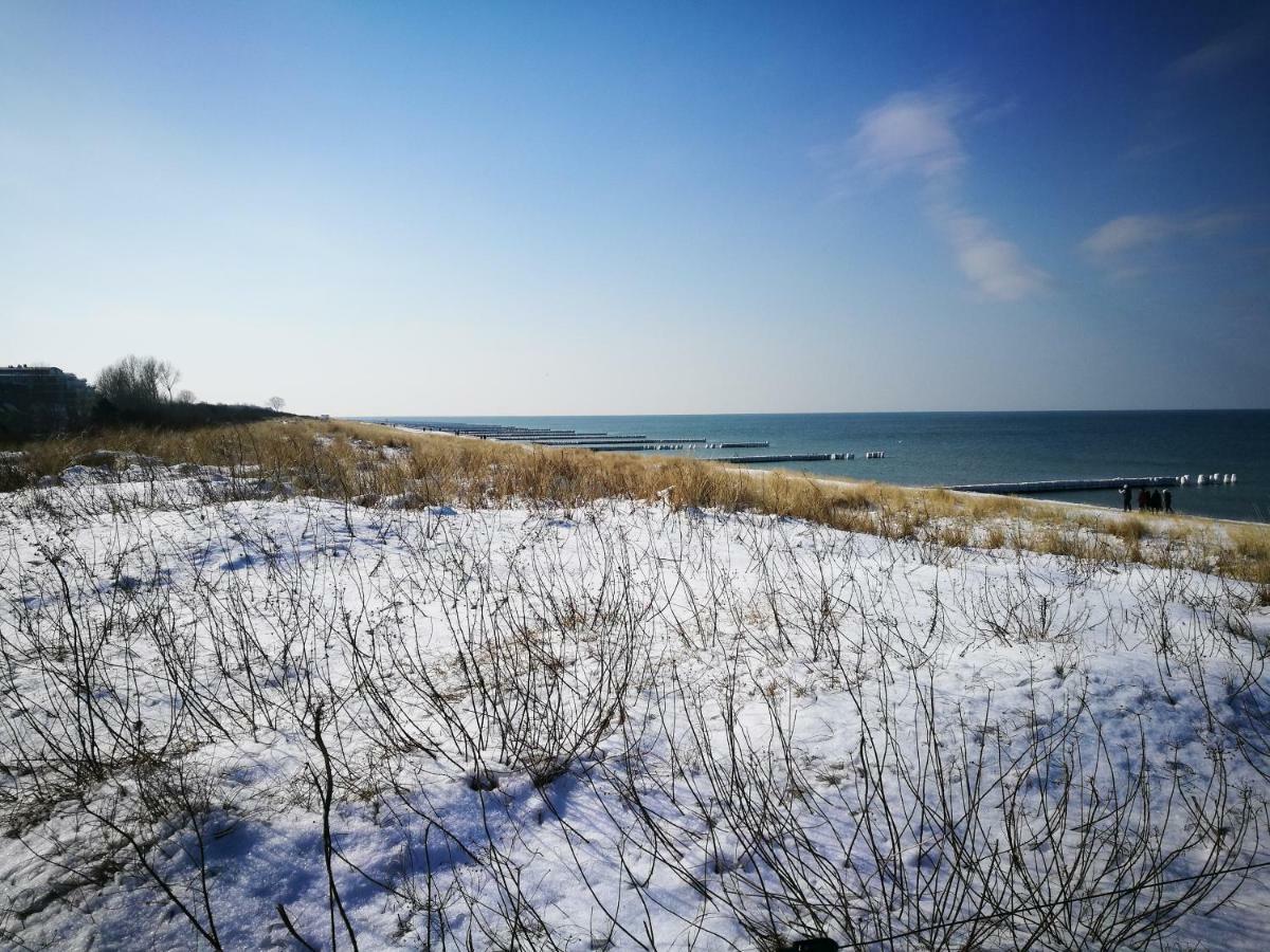 Darsser Strandgut - Haus Ahrenshooper Holz Eksteriør billede