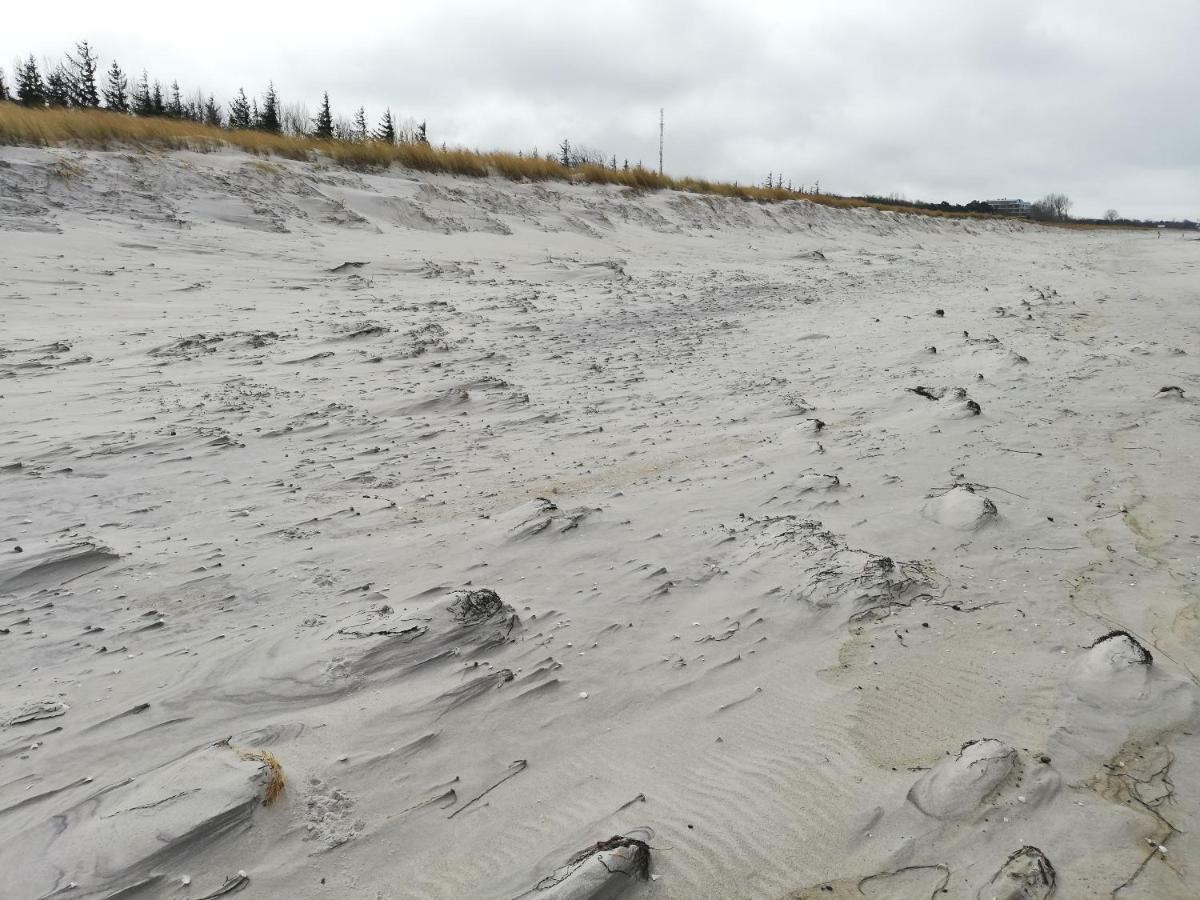 Darsser Strandgut - Haus Ahrenshooper Holz Eksteriør billede