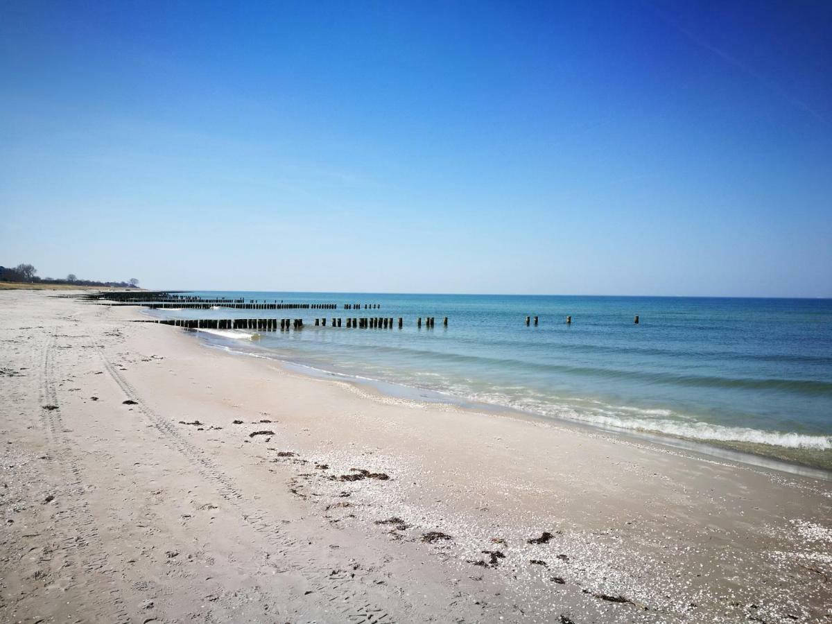 Darsser Strandgut - Haus Ahrenshooper Holz Eksteriør billede